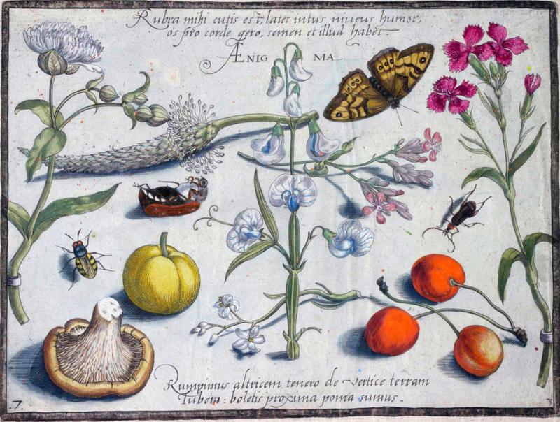 Archetypa studiaque Part3 Plate07