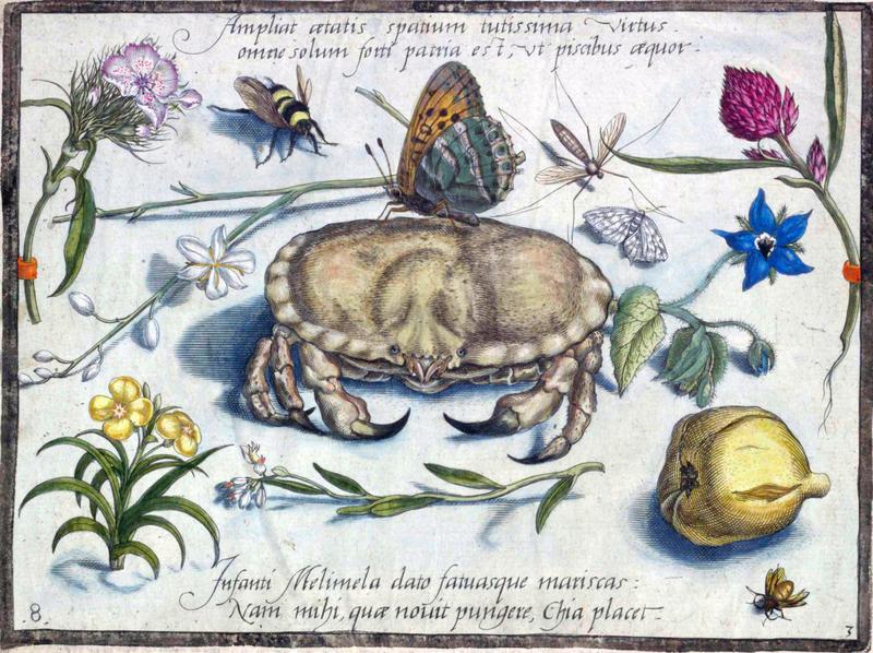 Archetypa studiaque Part3 Plate08