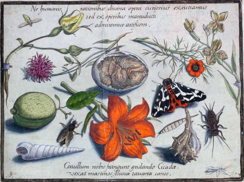 Archetypa studiaque Part3 Plate09