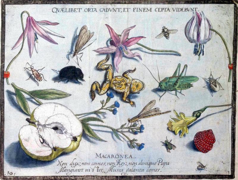 Archetypa studiaque Part3 Plate10