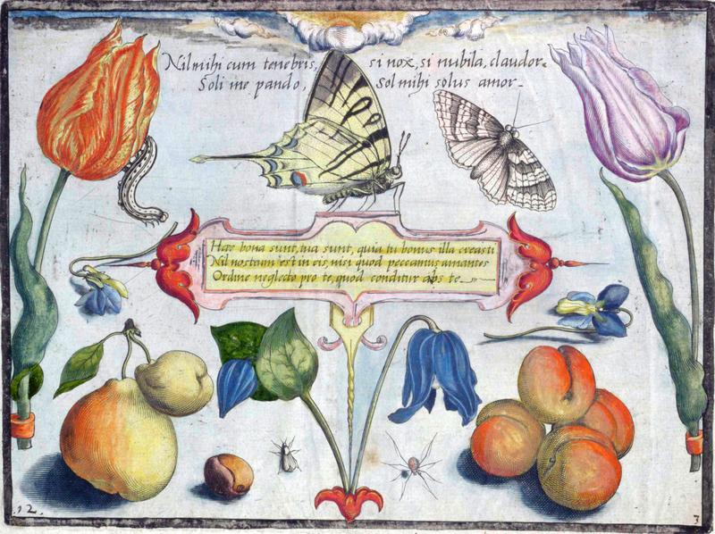 Archetypa studiaque Part3 Plate12