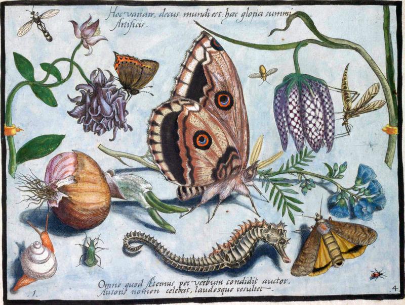 Archetypa studiaque Part4 Plate01