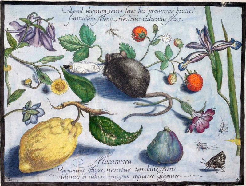 Archetypa studiaque Part4 Plate02