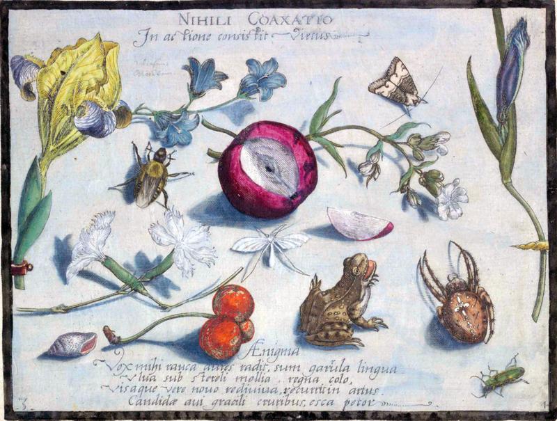 Archetypa studiaque Part4 Plate03