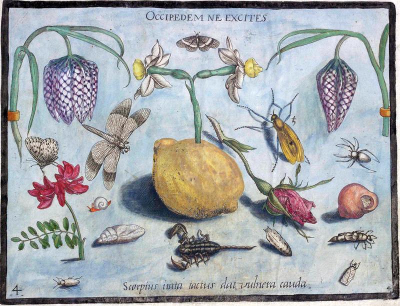 Archetypa studiaque Part4 Plate04