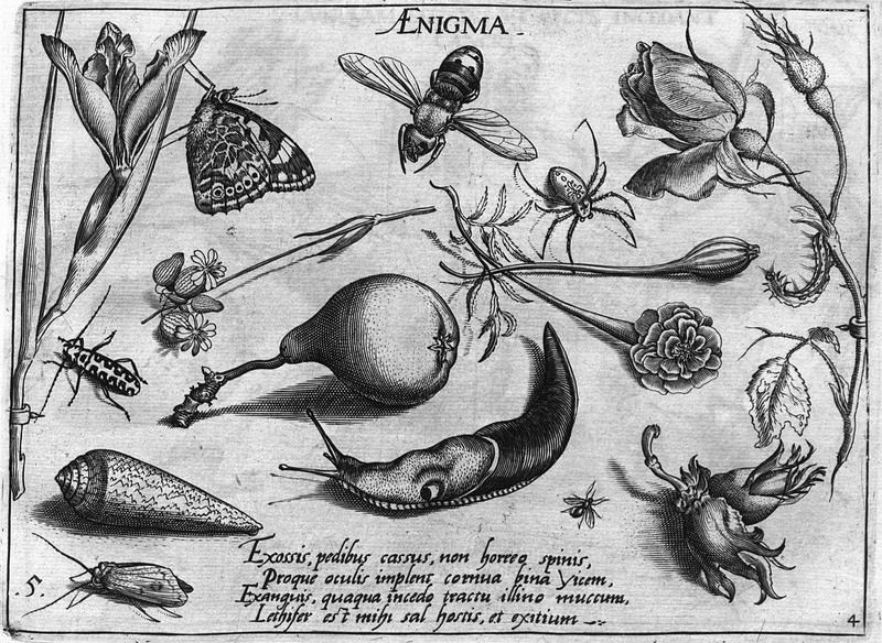 Archetypa studiaque Part4 Plate05bwMDZ