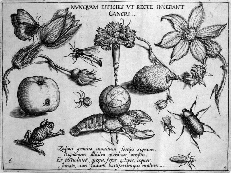 Archetypa studiaque Part4 Plate06bw