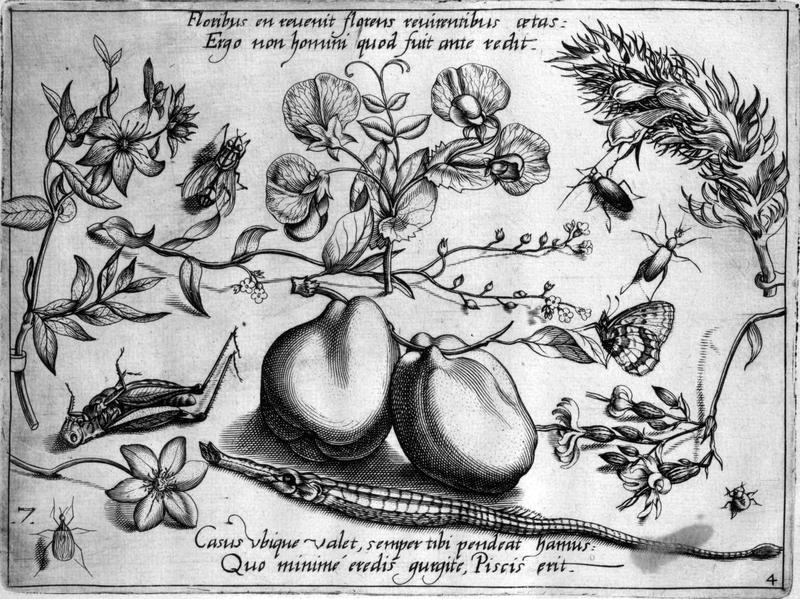 Archetypa studiaque Part4 Plate07bw