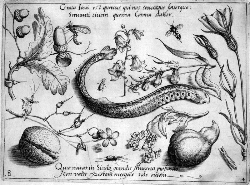Archetypa studiaque Part4 Plate08bw