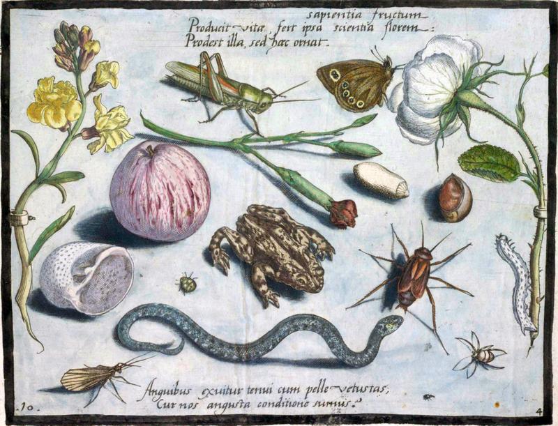 Archetypa studiaque Part4 Plate10