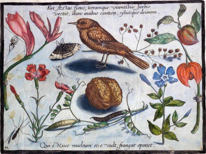 Archetypa studiaque Part4 Plate11