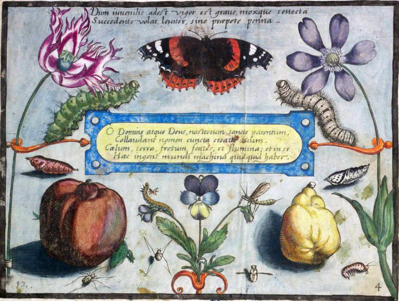 Archetypa studiaque Part4 Plate12