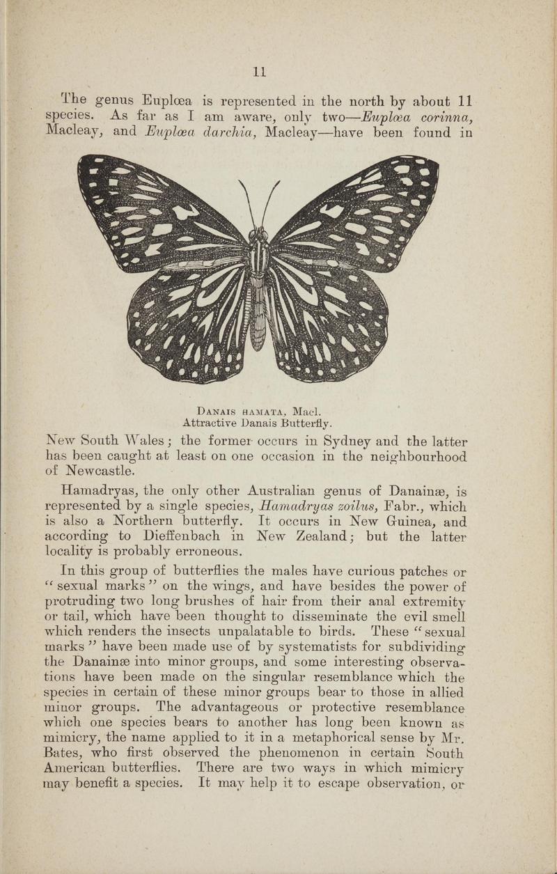 Australian butterflies - a brief account of the native families (Page 11) BHL46702645