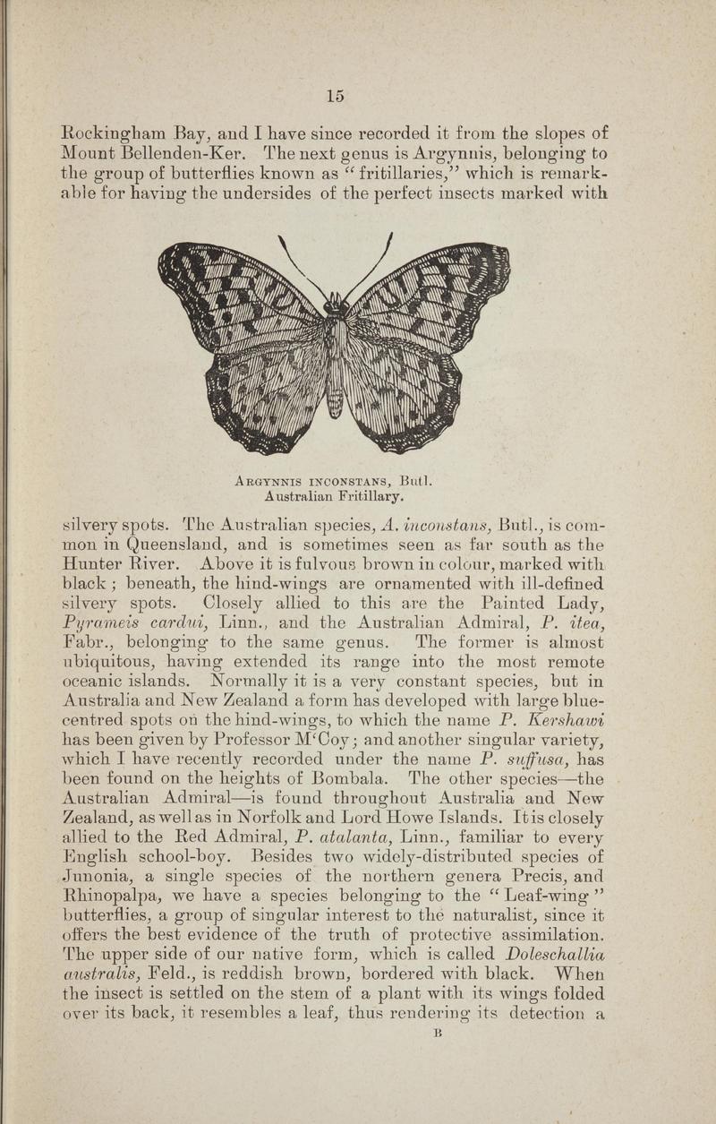 Australian butterflies - a brief account of the native families (Page 15) BHL46702640