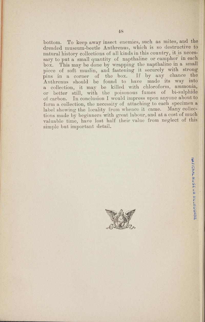 Australian butterflies - a brief account of the native families (Page 48) BHL46702608