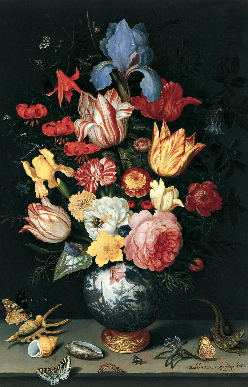 Dutch: Bloemen in een Wan Li-vaas, met schelpen, insekten en een hagedis Chinese Vase with Flowers, Shells and Insects label QS:Len,"Chinese Vase with Flowers, Shells and Insects" label QS:Les,"Vaso chino con flores, conchas e insectos"