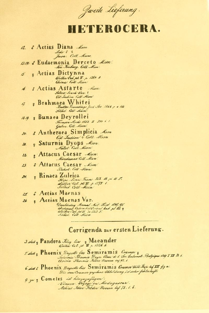Beiträge zur Schmetterlingskunde BHL10420777