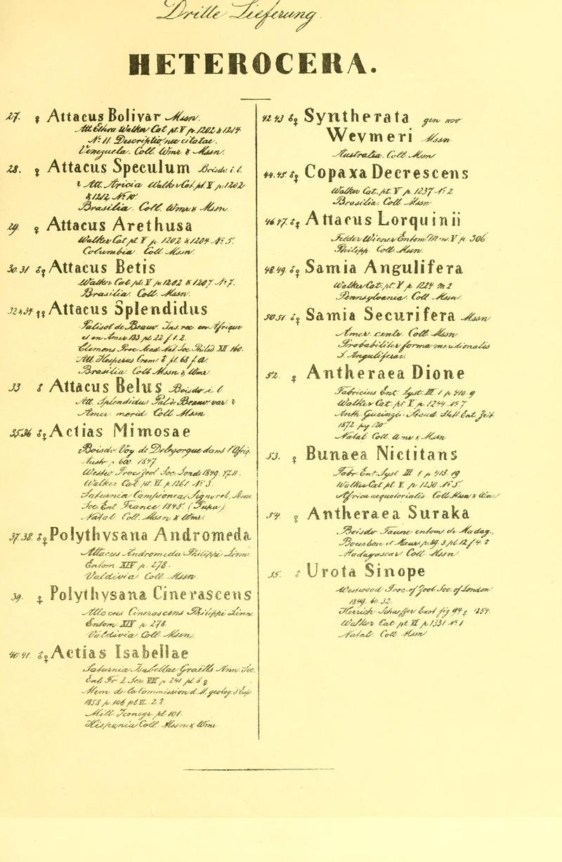 Beiträge zur Schmetterlingskunde BHL10420799
