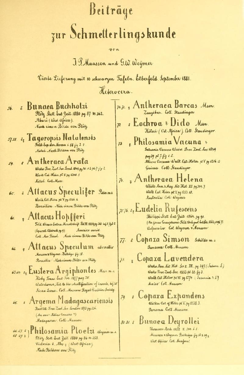 Beiträge zur Schmetterlingskunde BHL10420844