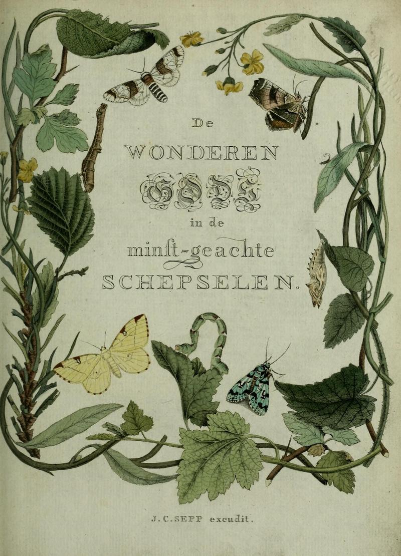 Beschouwing der wonderen Gods (8937440651)