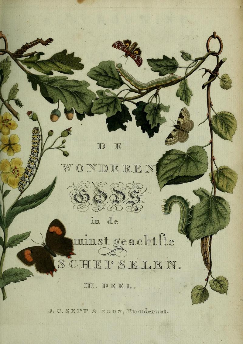 Beschouwing der wonderen Gods (9366025274)