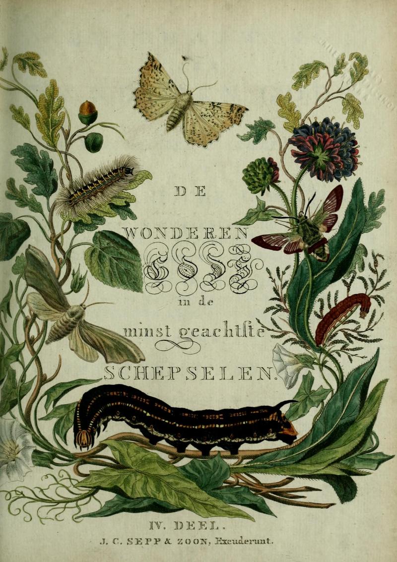Beschouwing der wonderen Gods (9916319863)