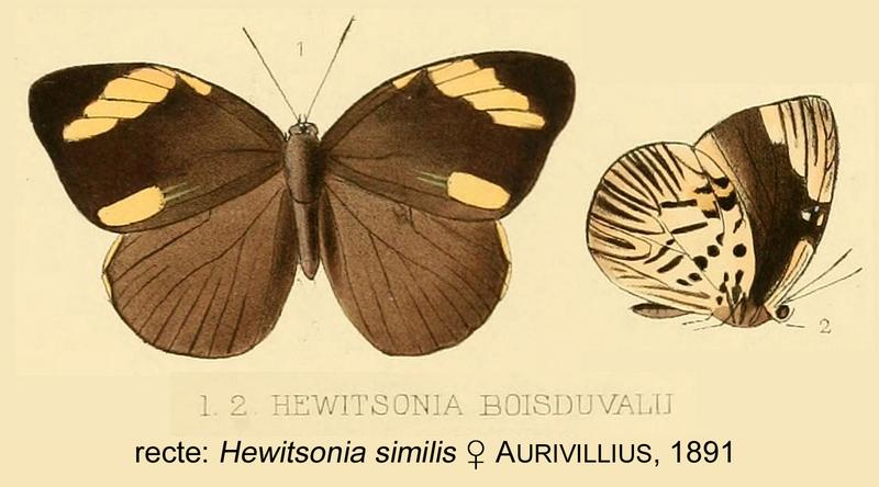 BoisduvaliiFemUpUnHew1877