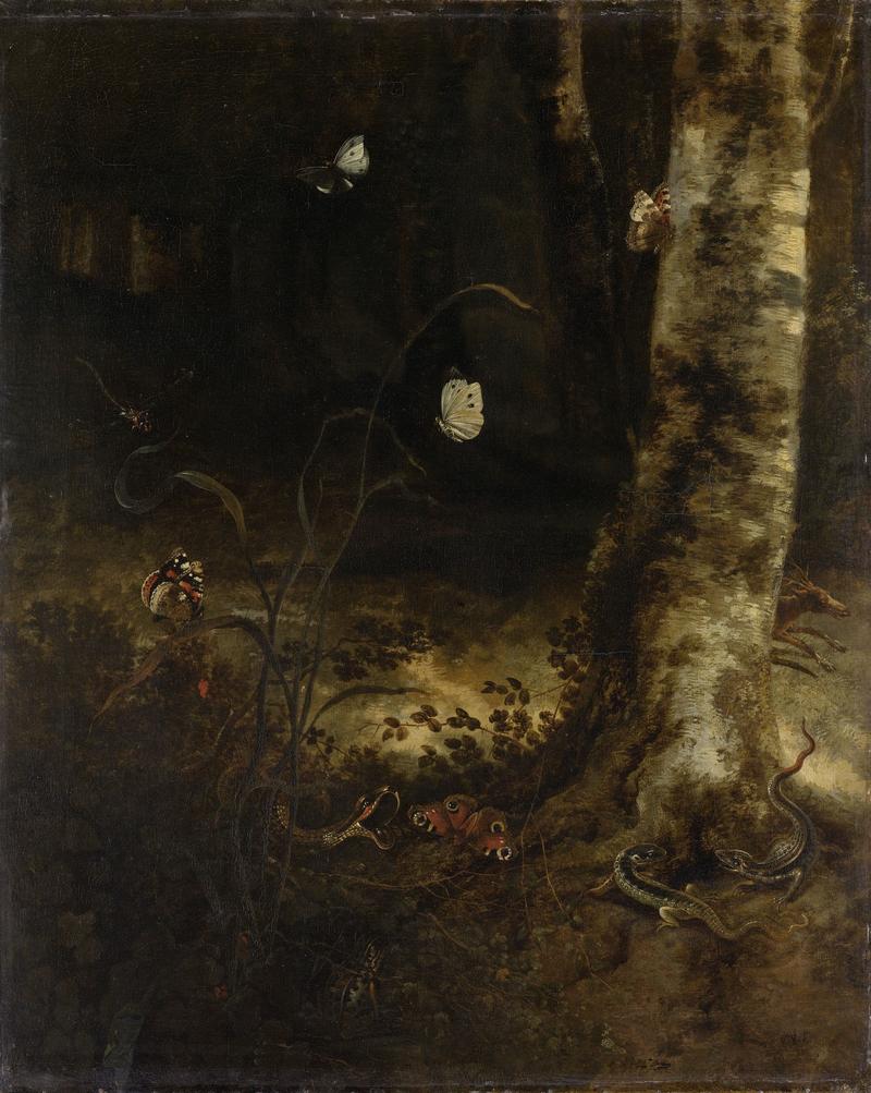Forest Floor with a Snake, Lizards, Butterflies and other Insects label QS:Lnl,"Bosgrond met een slang, hagedissen, vlinders en andere insecten" label QS:Len,"Forest Floor with a Snake, Lizards, Butterflies and other Insects"