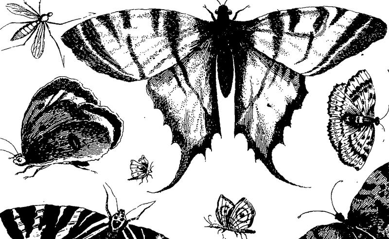 Bowles's complete drawing-book Fleuron T132565-52