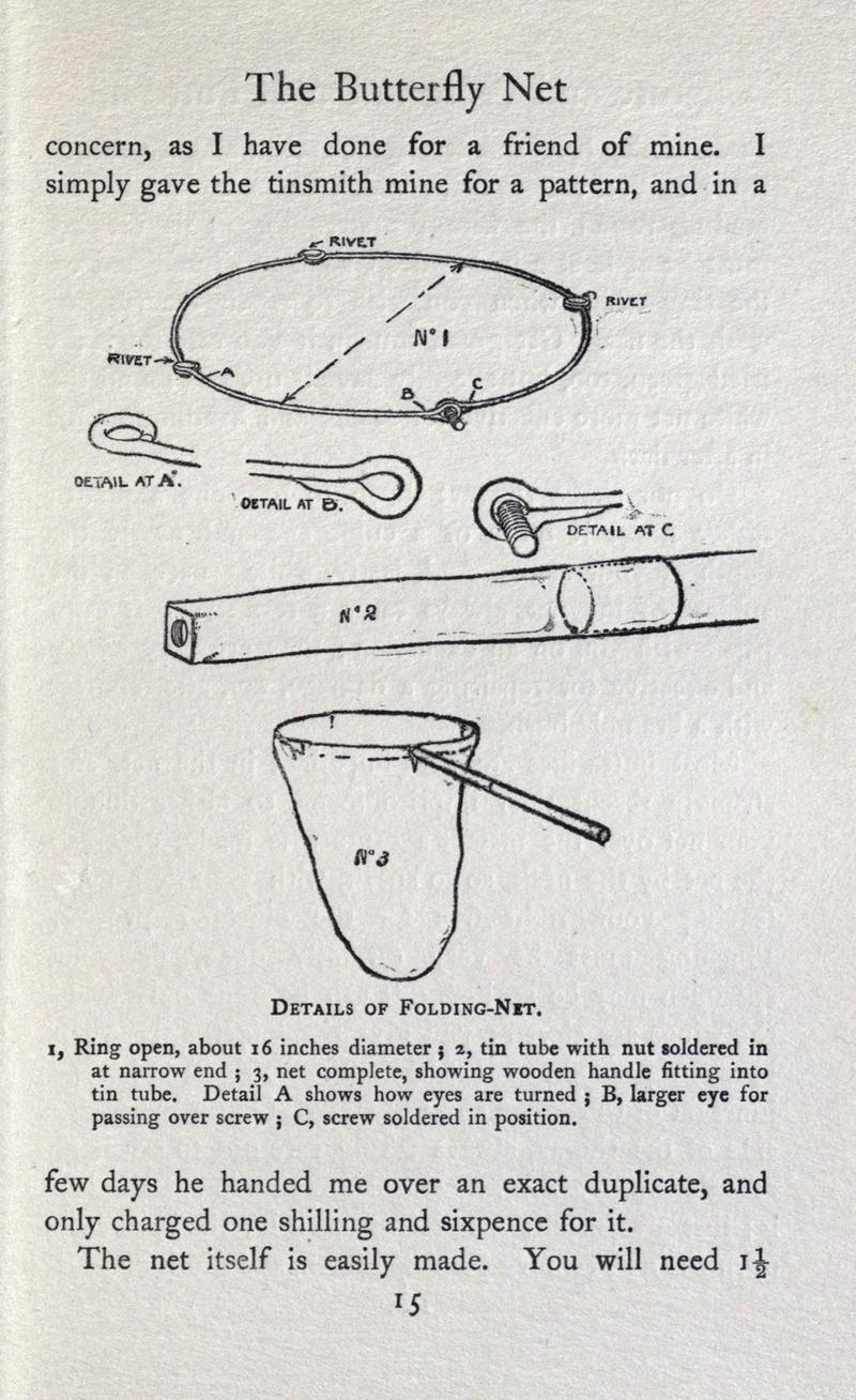 British butterflies (Page 15) BHL17765713
