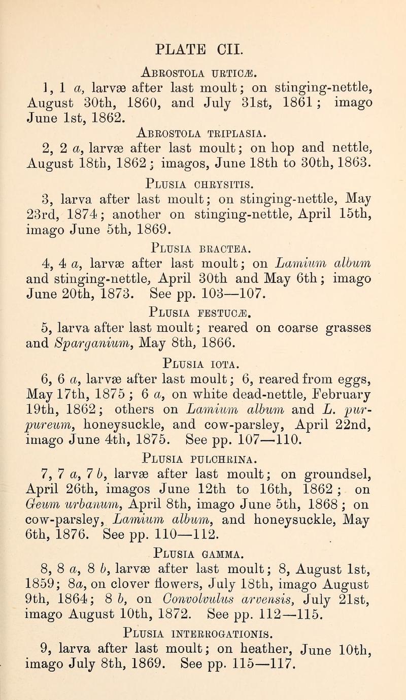 Buckler W The larvæ of the British butterflies and moths PlateCIIText