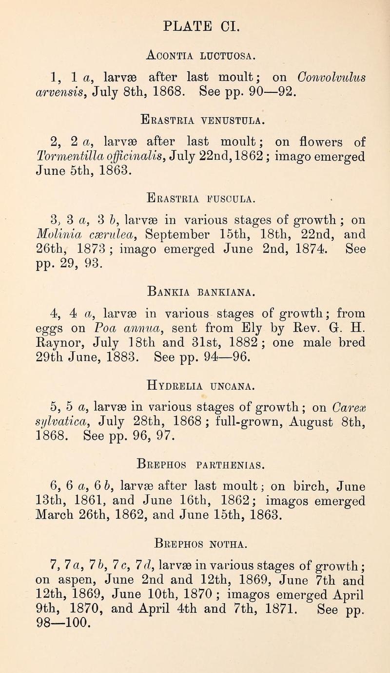 Buckler W The larvæ of the British butterflies and moths PlateCIText