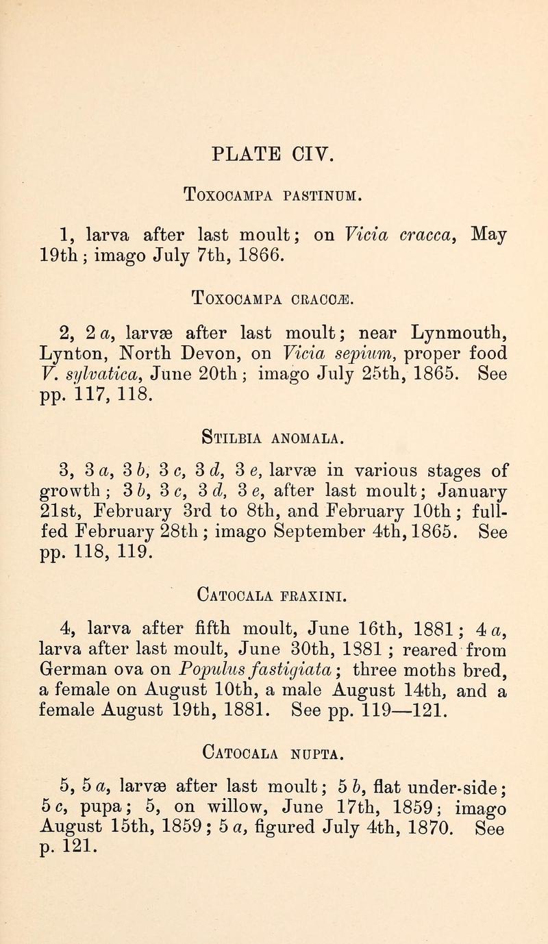 Buckler W The larvæ of the British butterflies and moths PlateCIVText