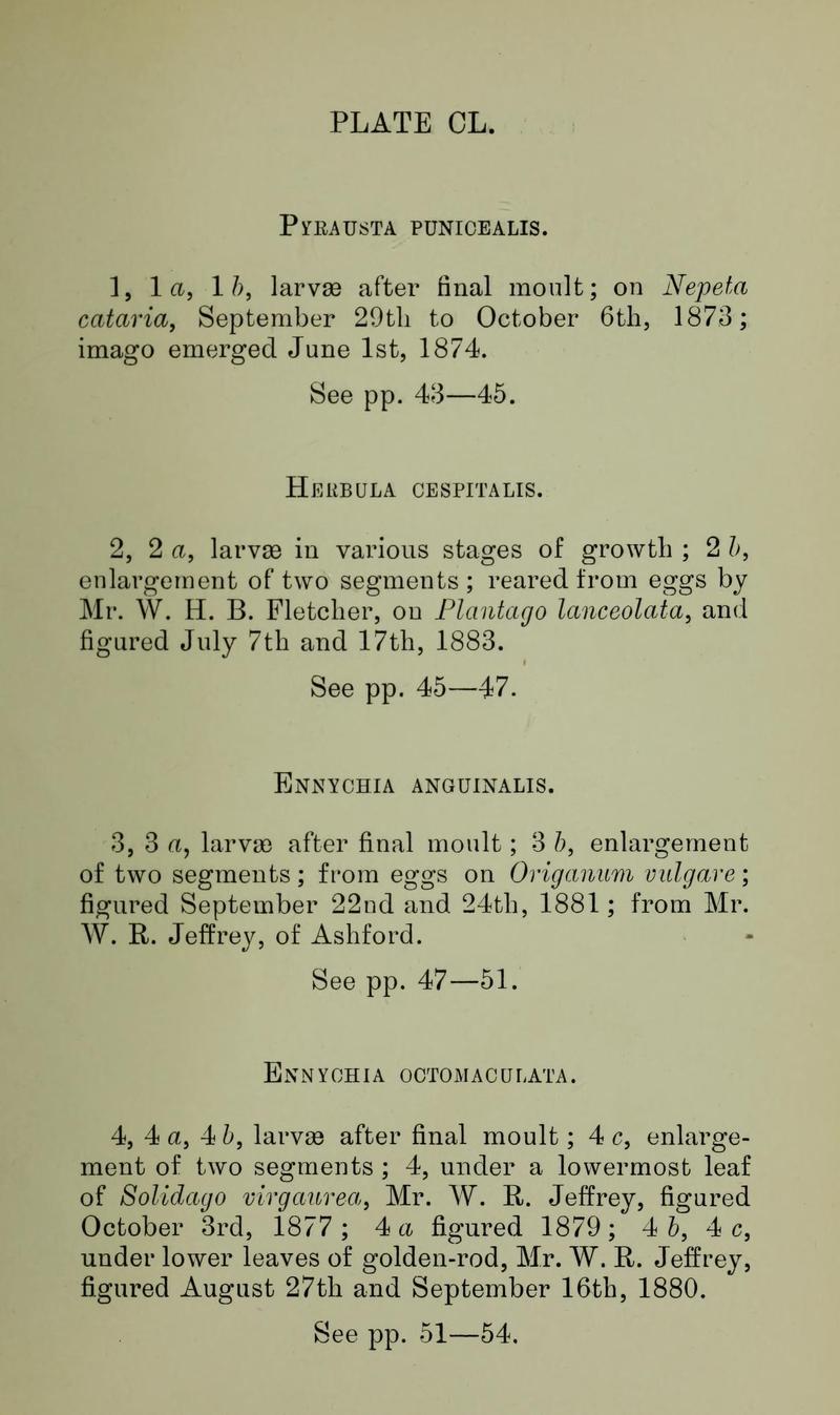 Buckler W The larvæ of the British butterflies and moths PlateCLText