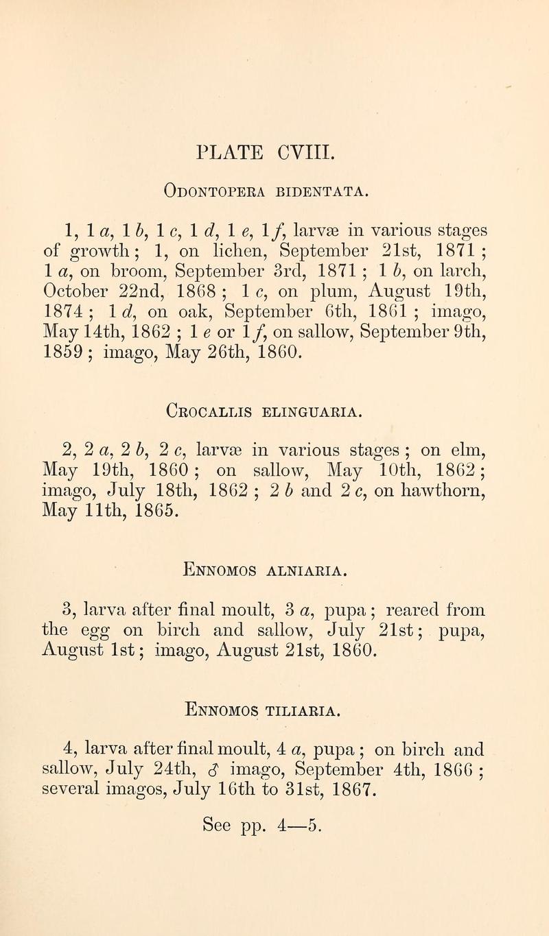 Buckler W The larvæ of the British butterflies and moths PlateCVIIIText