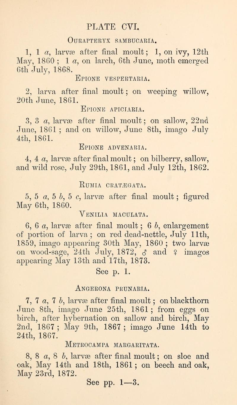 Buckler W The larvæ of the British butterflies and moths PlateCVI Text