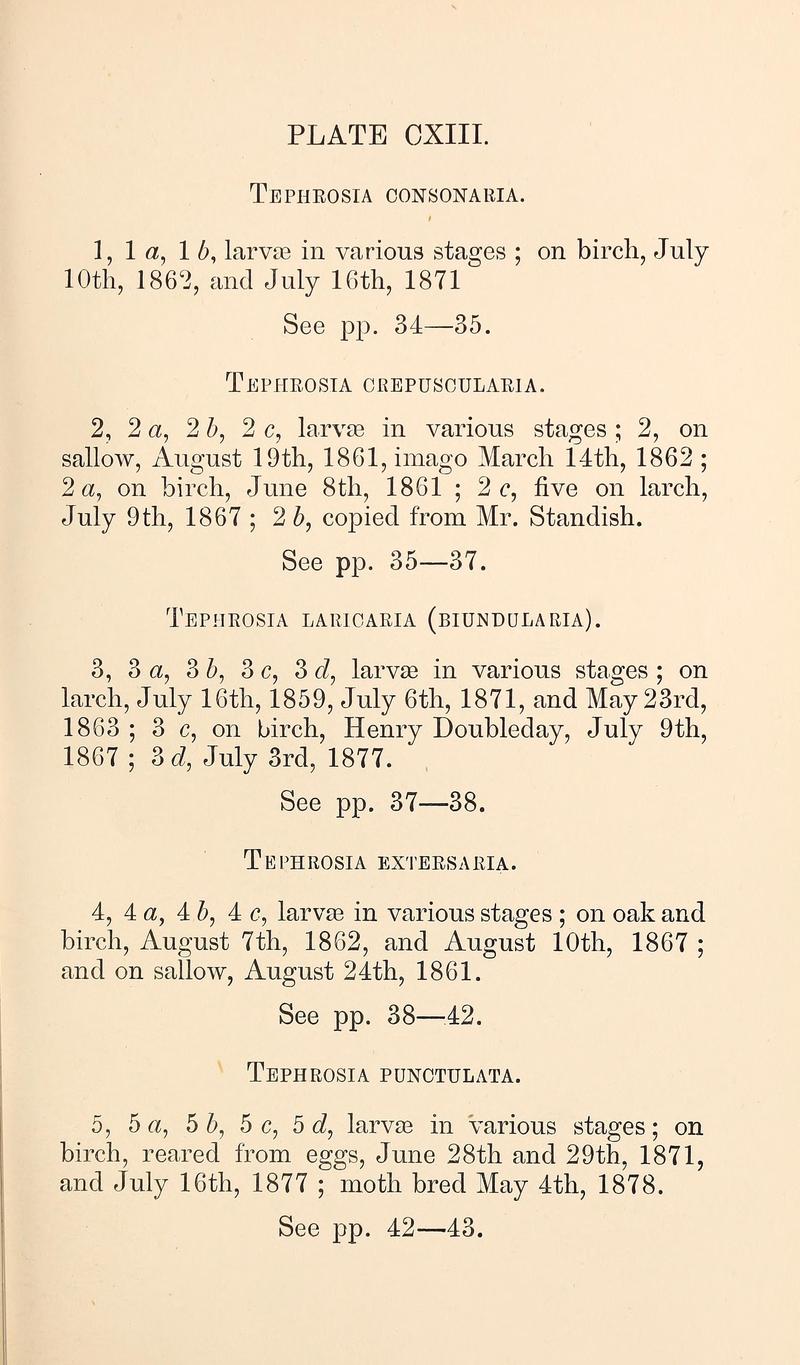 Buckler W The larvæ of the British butterflies and moths PlateCXIIIText