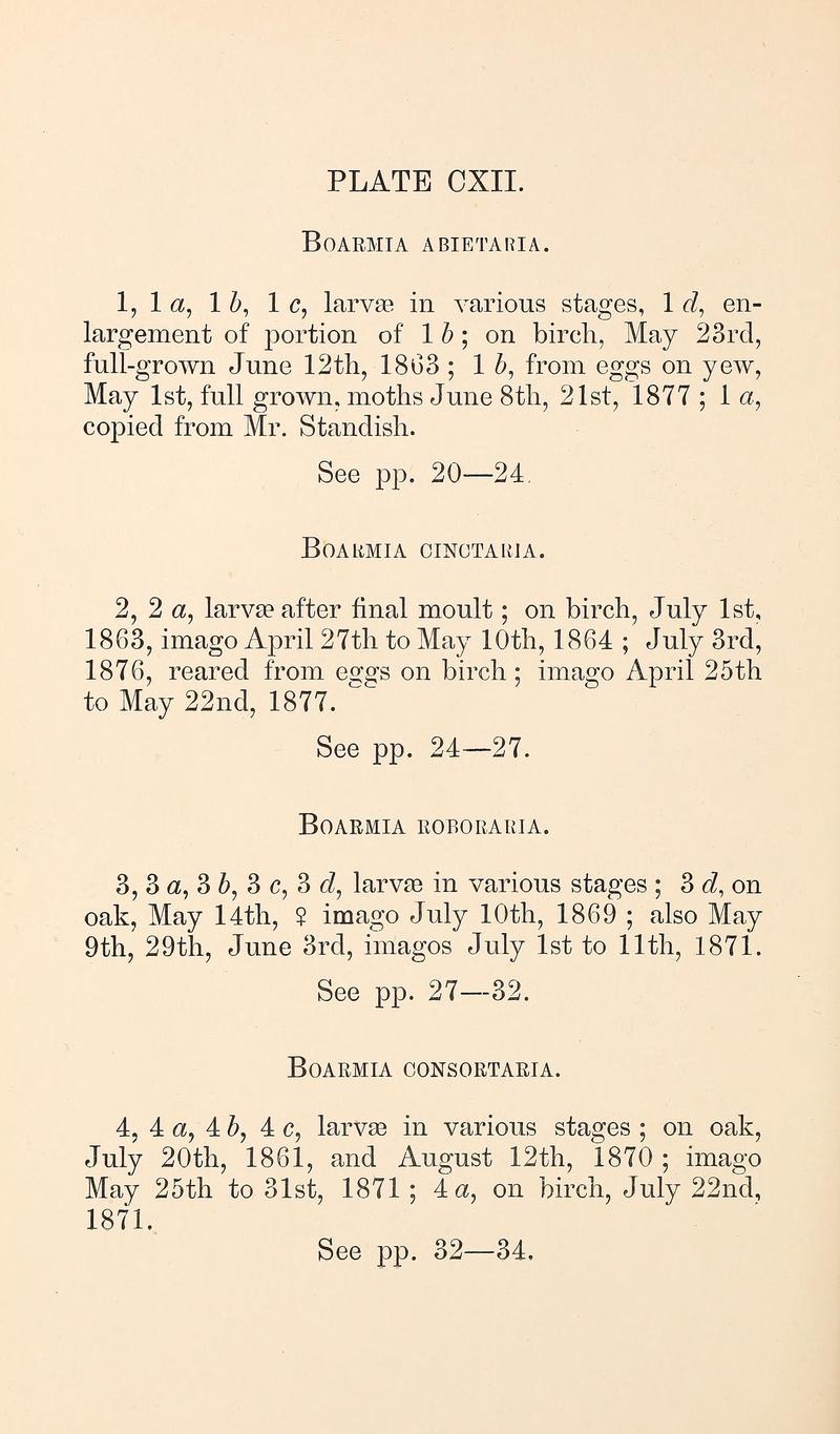 Buckler W The larvæ of the British butterflies and moths PlateCXIIText