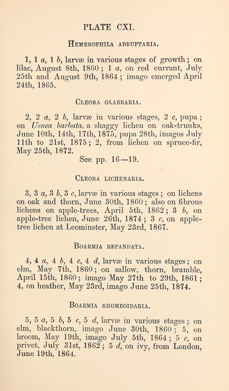 Buckler W The larvæ of the British butterflies and moths PlateCXIText