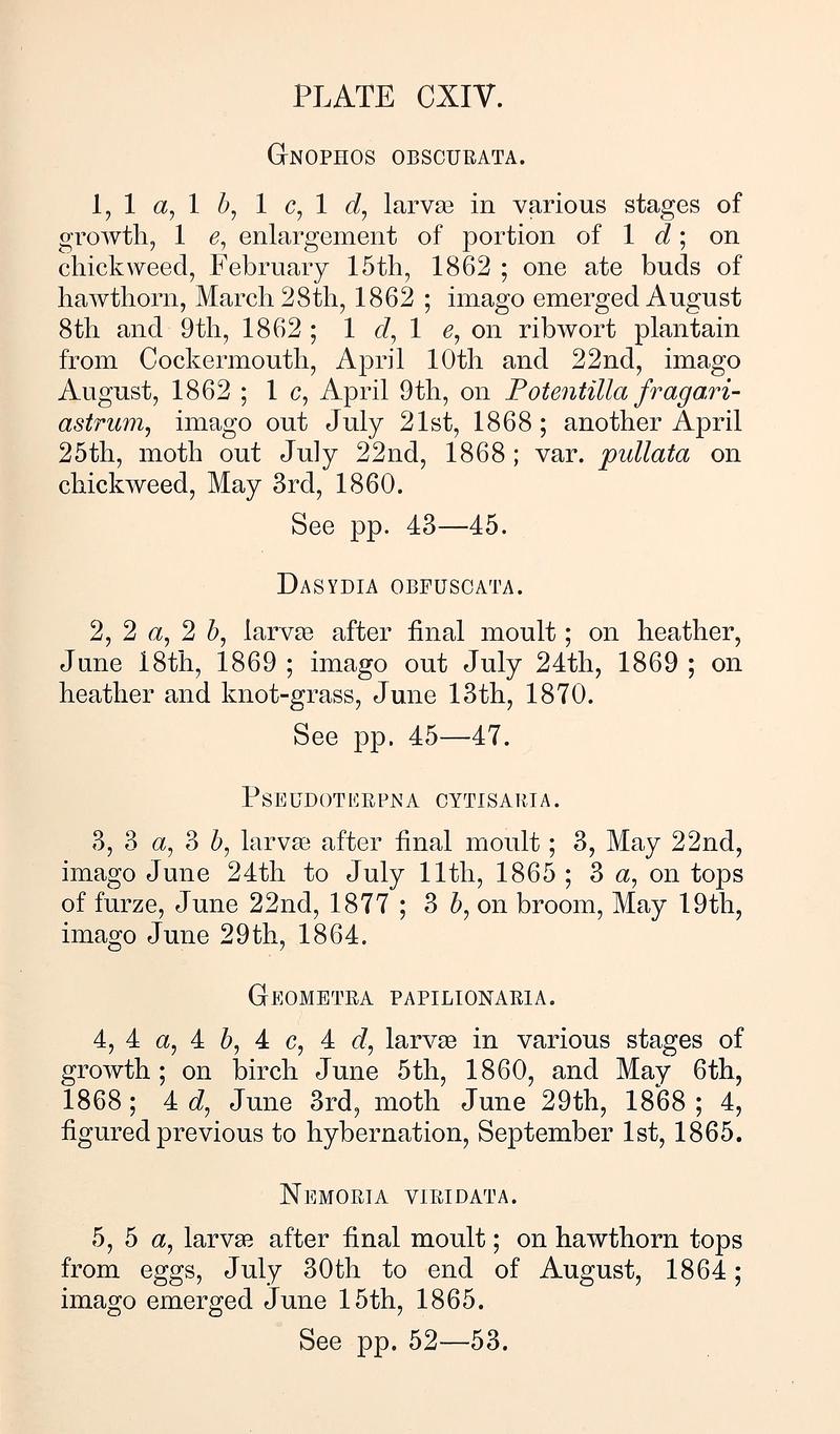 Buckler W The larvæ of the British butterflies and moths PlateCXIVText