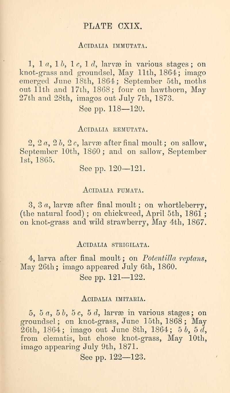 Buckler W The larvæ of the British butterflies and moths PlateCXIXText
