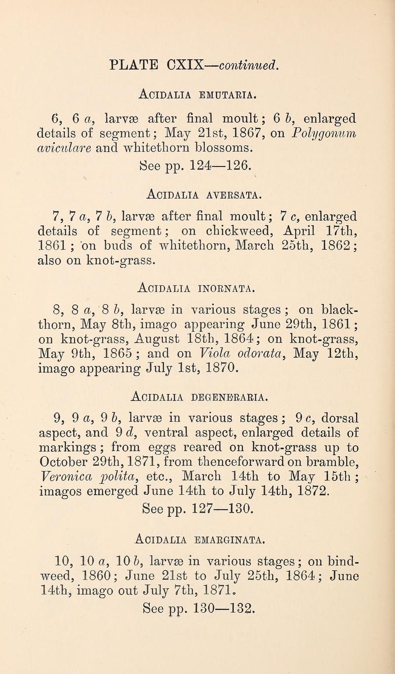 Buckler W The larvæ of the British butterflies and moths PlateCXIXTextcontinued