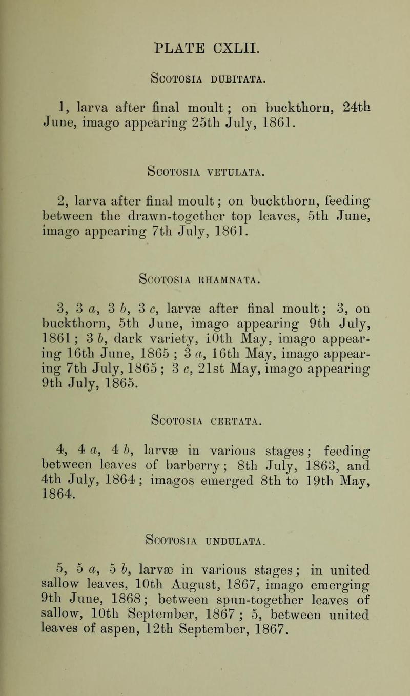 Buckler W The larvæ of the British butterflies and moths PlateCXLIIText