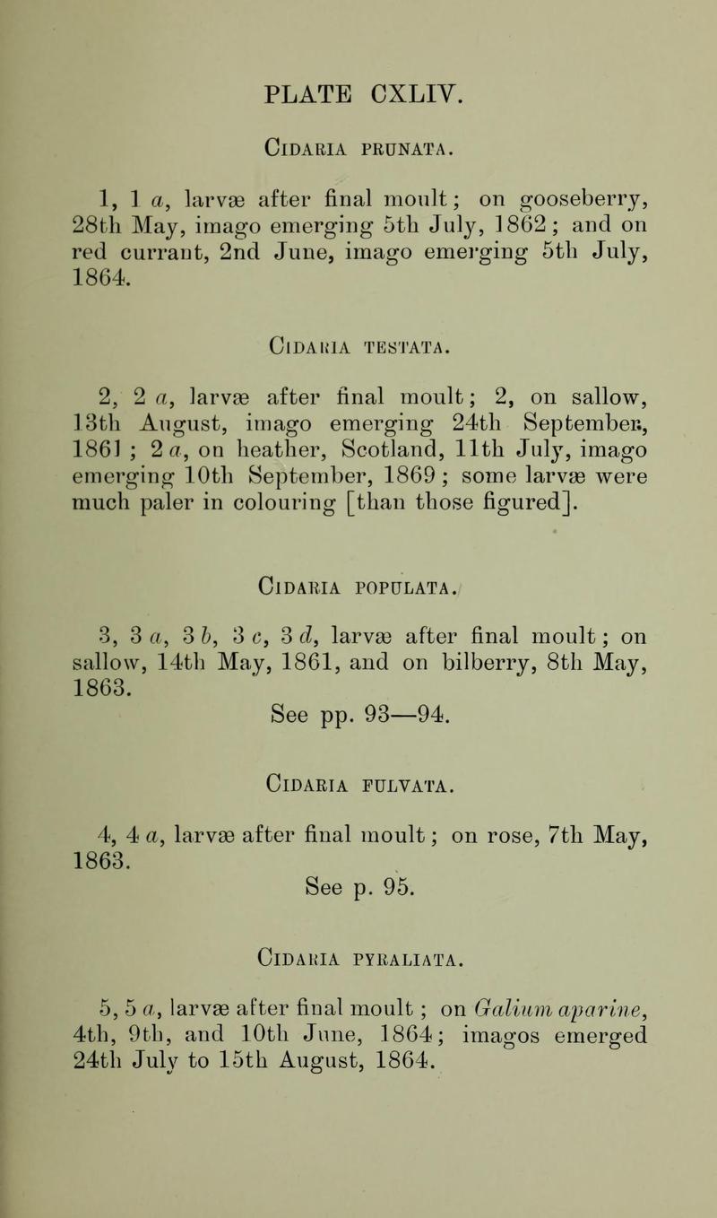 Buckler W The larvæ of the British butterflies and moths PlateCXLIVText