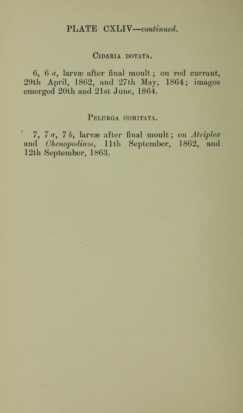 Buckler W The larvæ of the British butterflies and moths PlateCXLIVText2
