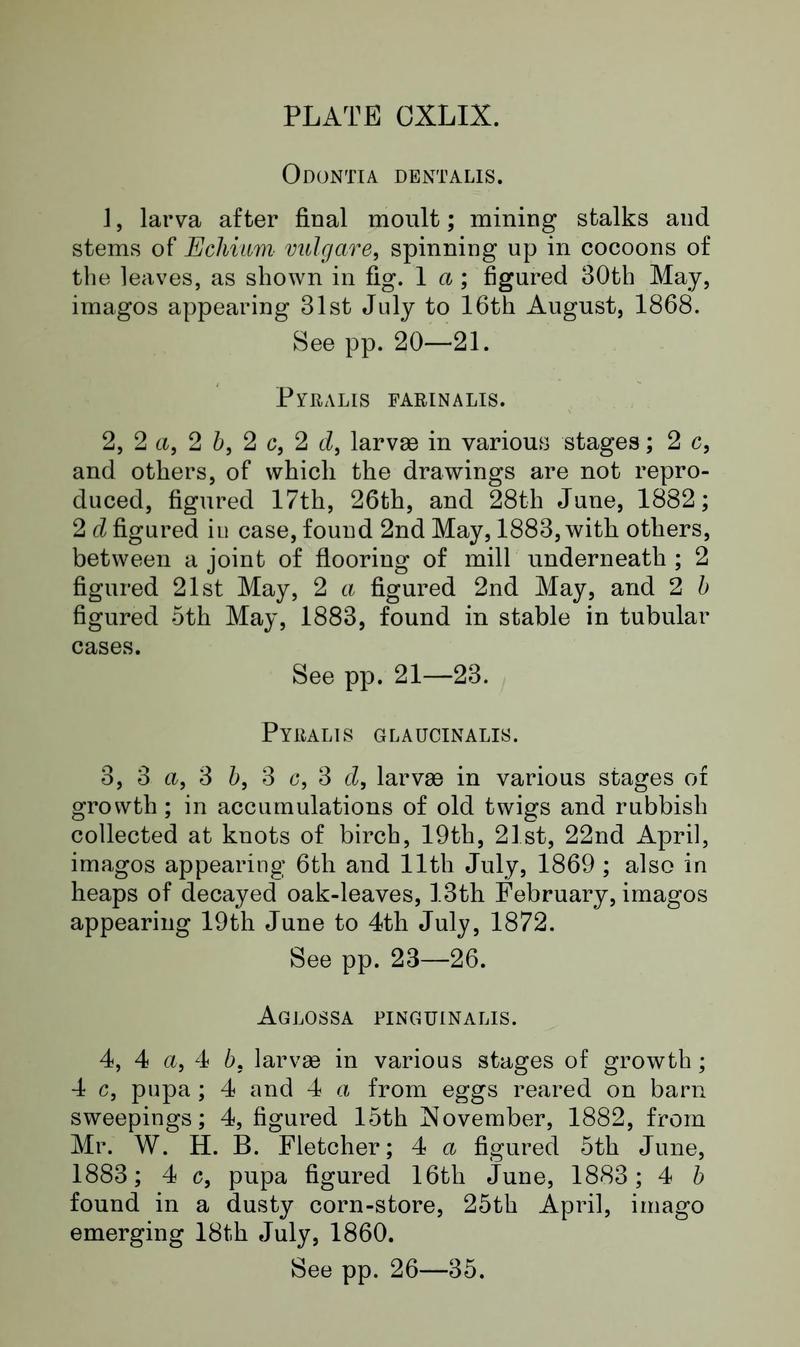 Buckler W The larvæ of the British butterflies and moths PlateCXLIXText