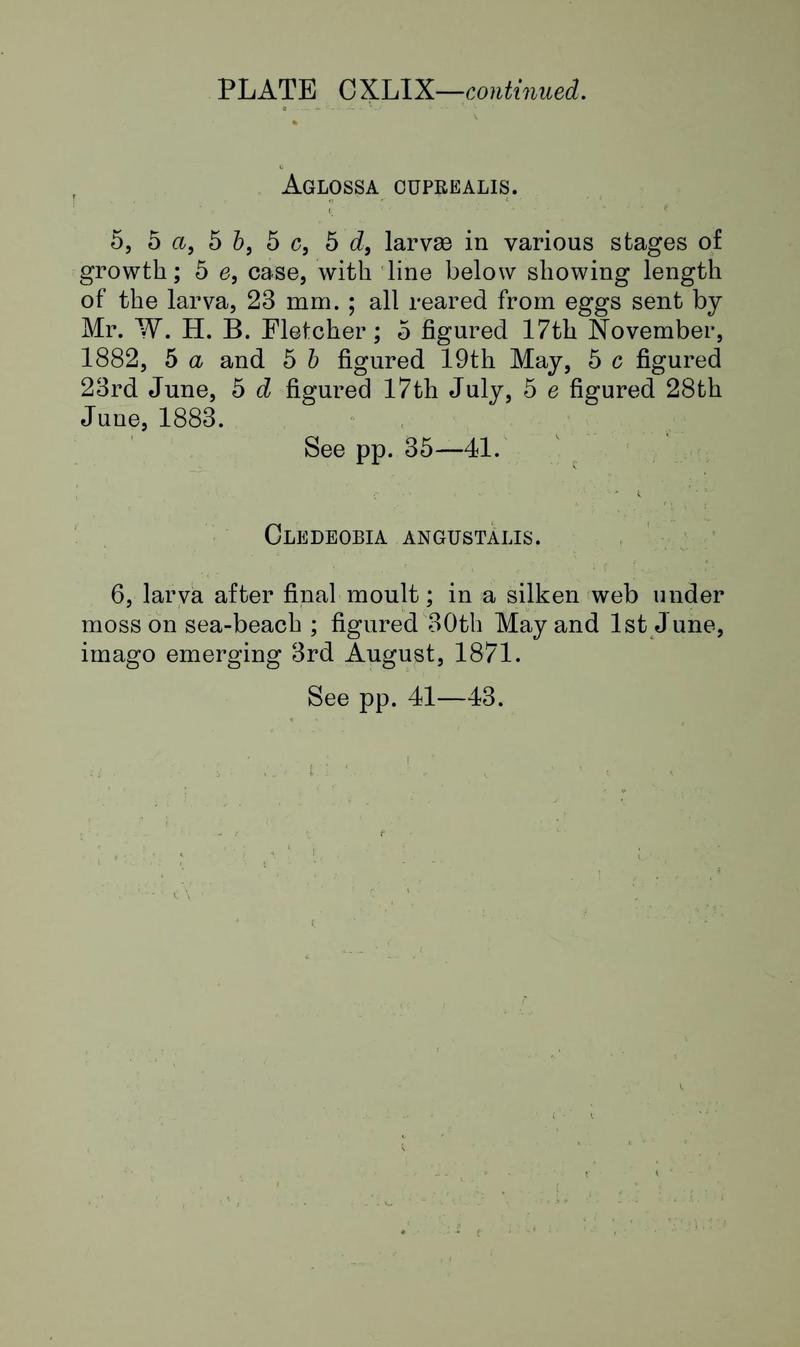 Buckler W The larvæ of the British butterflies and moths PlateCXLIXText2