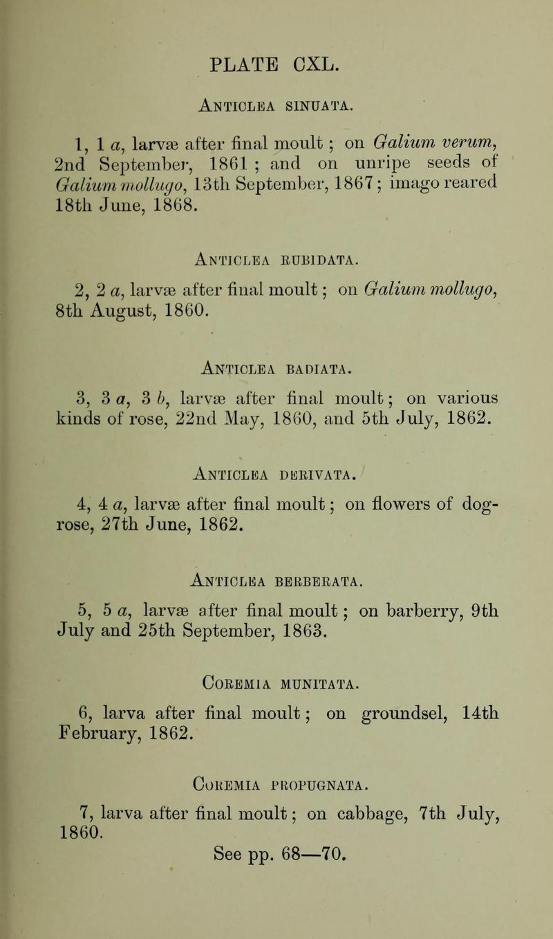 Buckler W The larvæ of the British butterflies and moths PlateCXLText