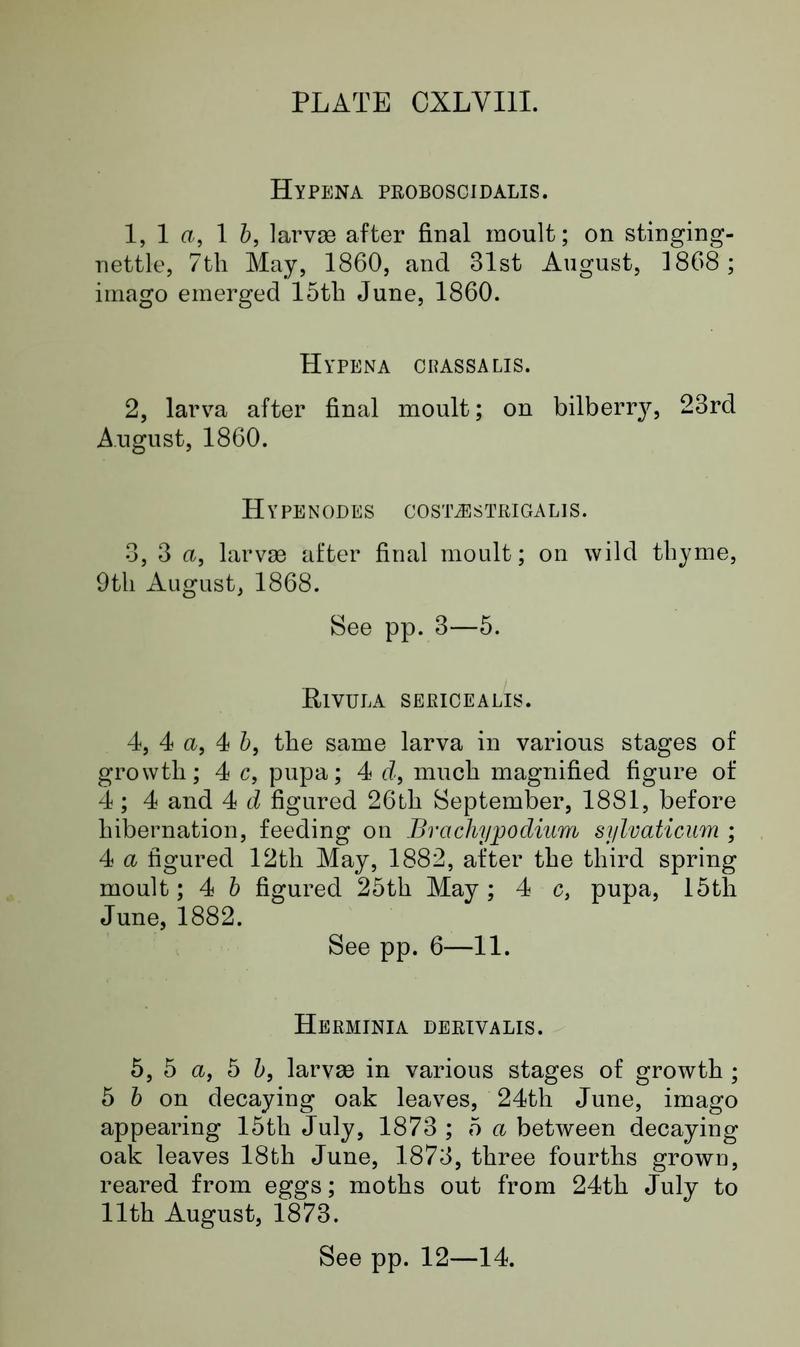 Buckler W The larvæ of the British butterflies and moths PlateCXLVIIIText
