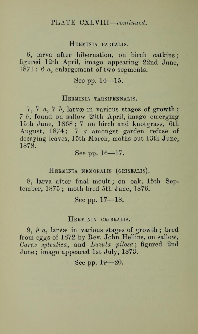 Buckler W The larvæ of the British butterflies and moths PlateCXLVIIIText2